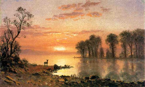 Sunset  Deer  And River