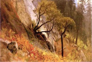 Landscape Study: Yosemite, California