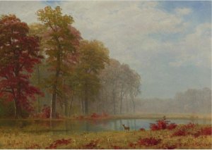 Autumn On The River