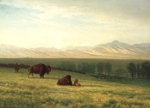 Albert Bierstadt - Buffalo on the Plains, c.1890