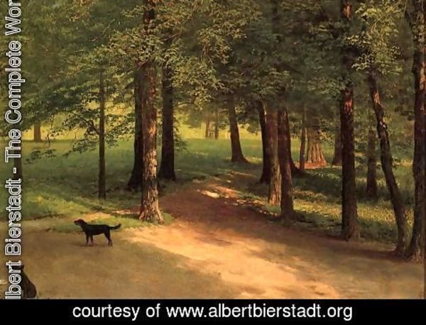 Albert Bierstadt - Irvington Woods