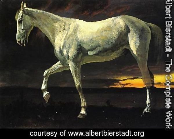 Albert Bierstadt - White Horse and Sunset